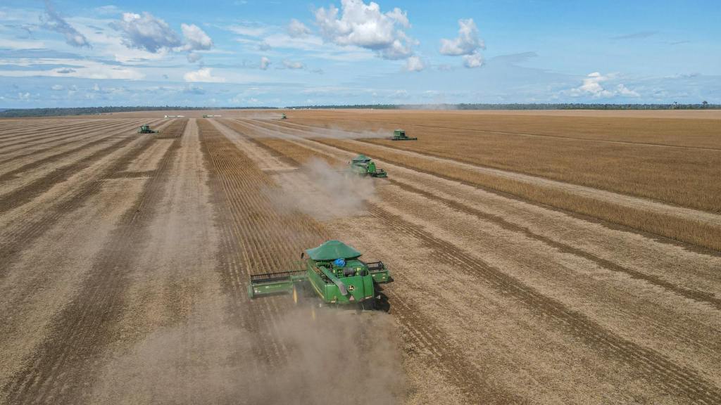 Rosario lidera nuevamente en agroexportaciones a nivel&nbsp;mundial