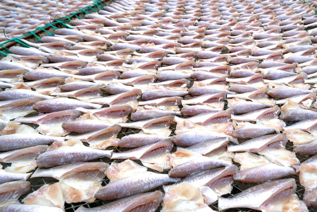Aisa Group apuesta a la pesca con adquisición de Sea Fresh en&nbsp;Madryn