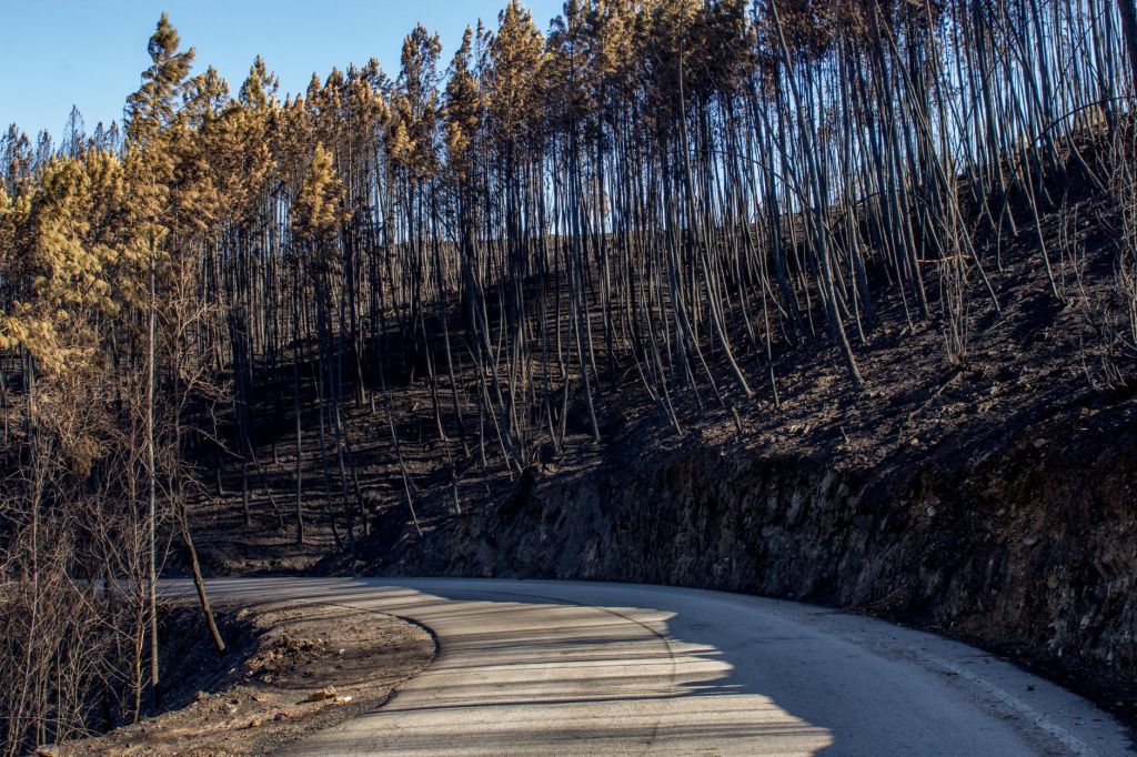 Incendio forestal obliga a desalojar a decenas de miles en Reno,&nbsp;Nevada