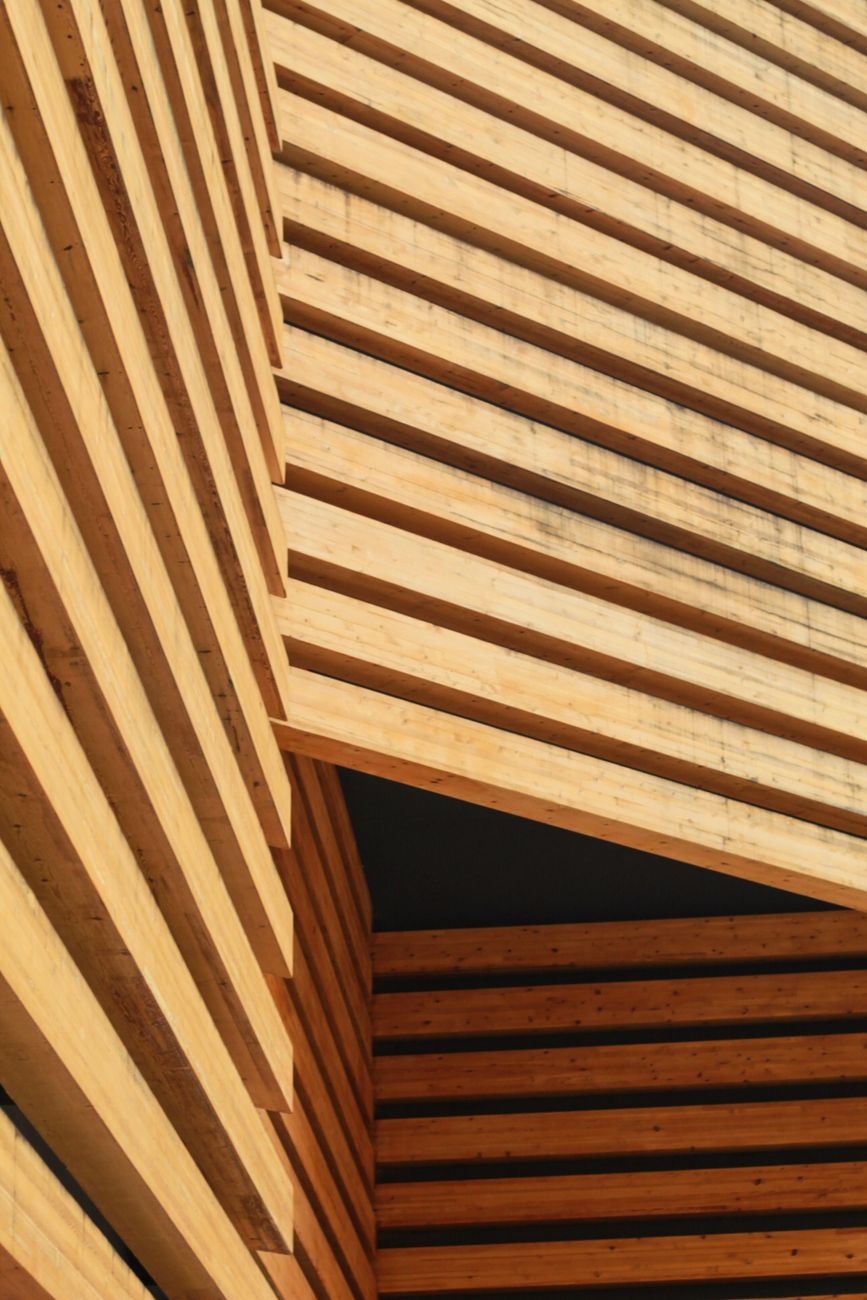 Tecnología mass timber llega a Argentina con planta en&nbsp;Corrientes